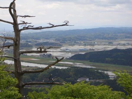 2010062901.JPG