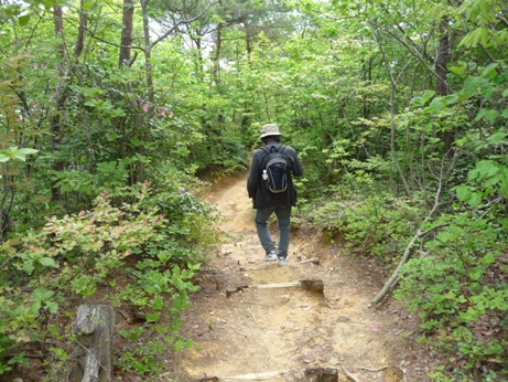 2010062904.jpg