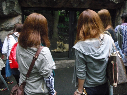 2010092901.jpg