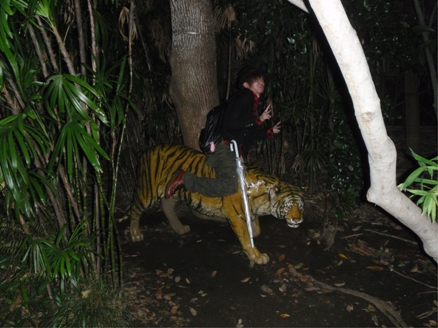 2010092902.jpg