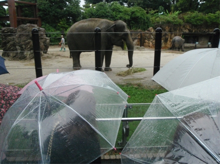 2010092903.jpg
