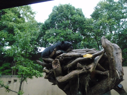 2010092904.jpg