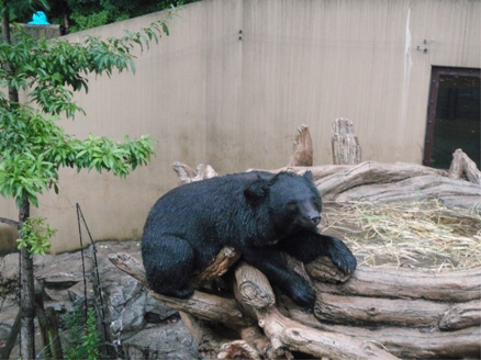 2010092905.jpg