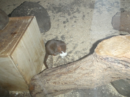 2010092907.jpg