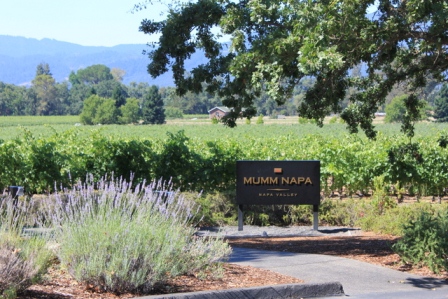 Napa Valley.JPG