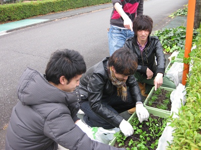 1202mabiki.JPG