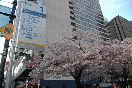 20100312#02.JPG