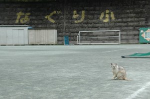 20100608名栗小講演＃05.JPG