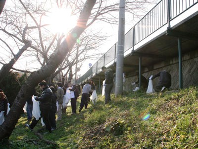 20111128入間川河川清掃1