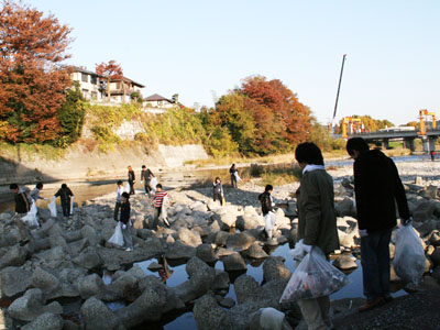 20111128入間川河川清掃3