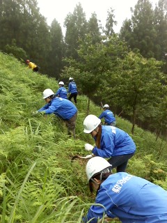 20120707sundainomori.JPG