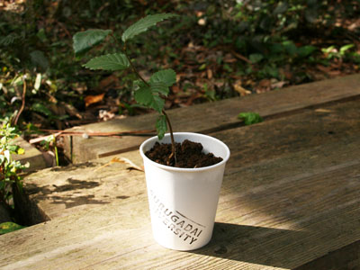 20121001eco_5.jpg