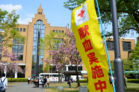 20130418_blood1.JPG