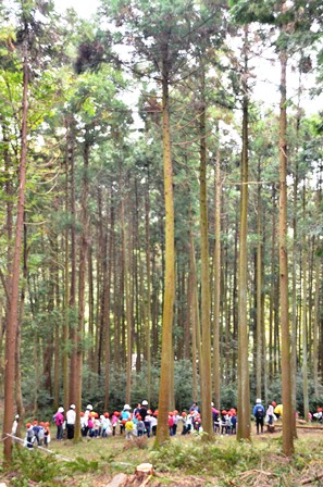 20131029_sinrin03.JPG
