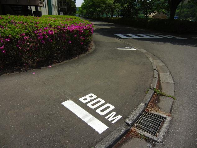 20140521_sc_02.jpg