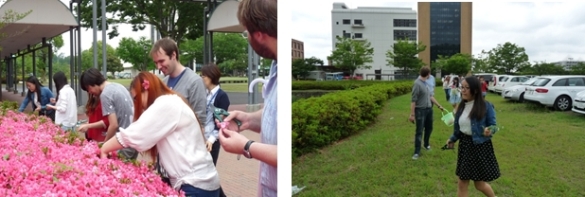 20140606ikebana_01.jpg