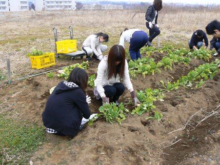 2010012101.JPG