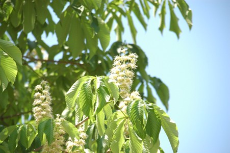 2010052101.JPG