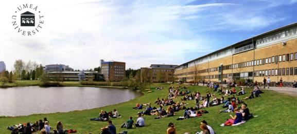 2010060107.jpg