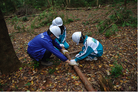2010111502.png