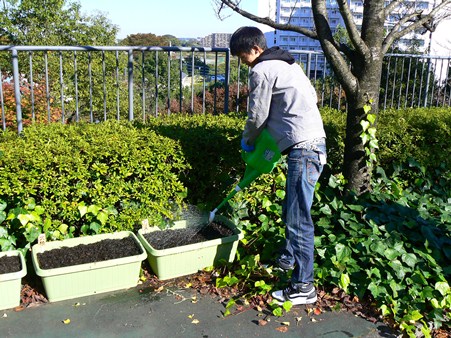 2010111602.jpg