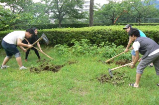 2011070604.jpg