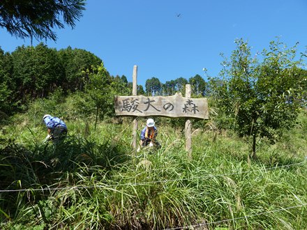 2011100102.JPG