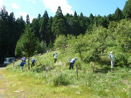 2011100103.JPG