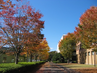 media_071112.JPG