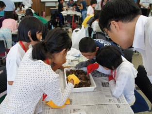 土の中の生物を見つけてみよう！<br />見つけられたかな？