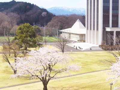 秩父山地の冠雪と桜のコラボレーションも見られました（2022.4.1撮影）