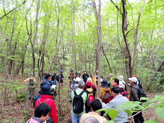 20180419里山通信その4_01.jpg