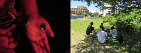 20180703ビオトープ通信2_01.jpg