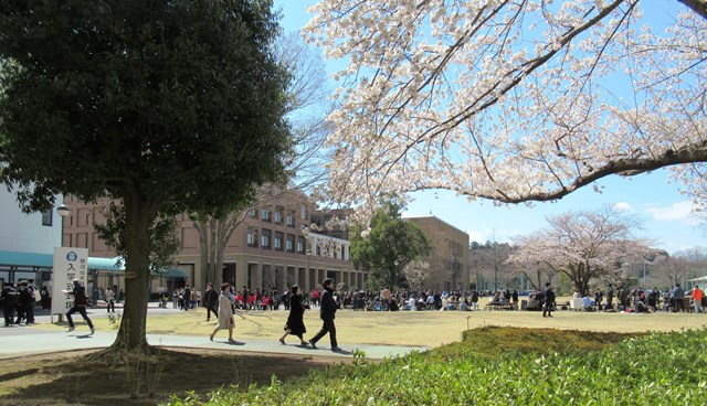 20190404keizai01.jpg