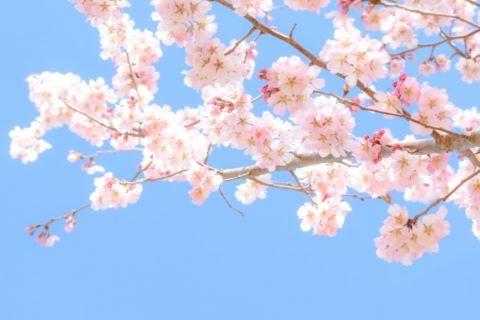 shinri_20210301.jpg