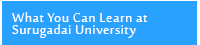 What You Can Learn at Surugadai University