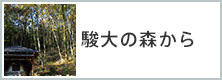 駿大の森から
